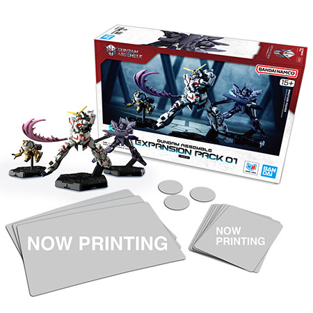 GUNDAM ASSEMBLE EXPANSION PACK 01 [EX01]